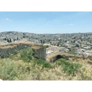 תחזית מזג האוויר בשפרעם